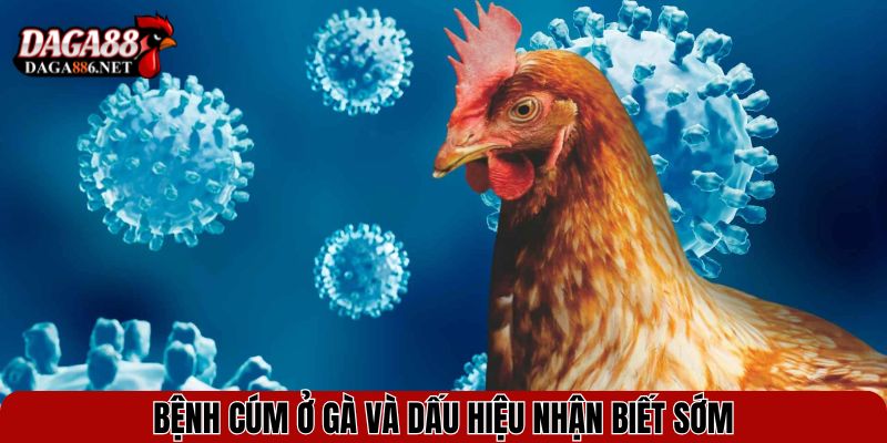 Cách Chữa Gà Bị Bệnh Cúm Hiệu Quả Và Ngăn Lây Nhanh 2 Bệnh cúm ở gà và dấu hiệu nhận biết sớm