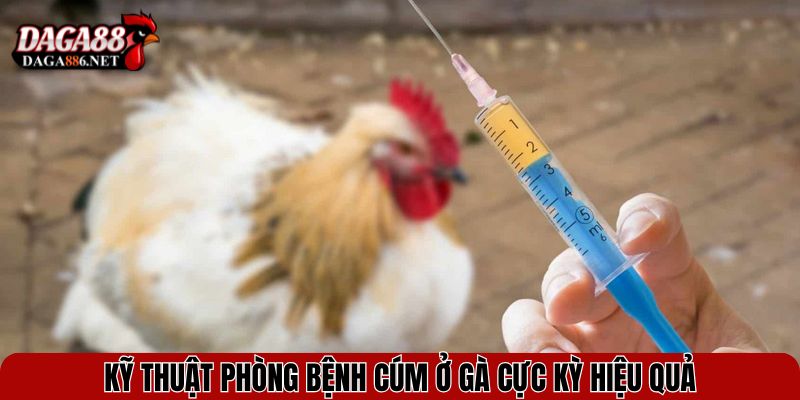Cách Chữa Gà Bị Bệnh Cúm Hiệu Quả Và Ngăn Lây Nhanh 4 Kỹ thuật phòng bệnh cúm ở gà cực kỳ hiệu quả