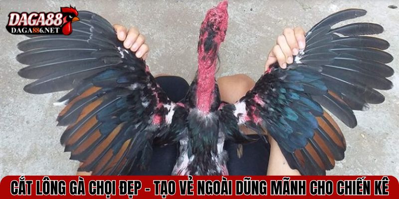 cat long ga choi dep