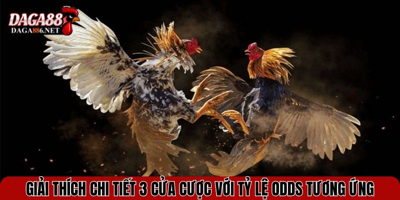 Giải thích chi tiết 3 cửa cược với tỷ lệ odds tương ứng