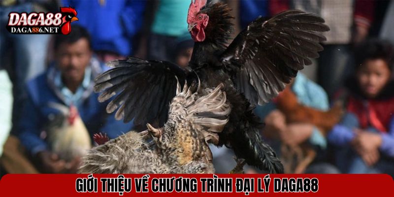 Giới thiệu về chương trình đại lý DAGA88