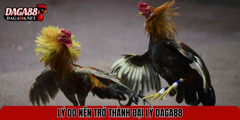 Lý do nên trở thành đại lý DAGA88