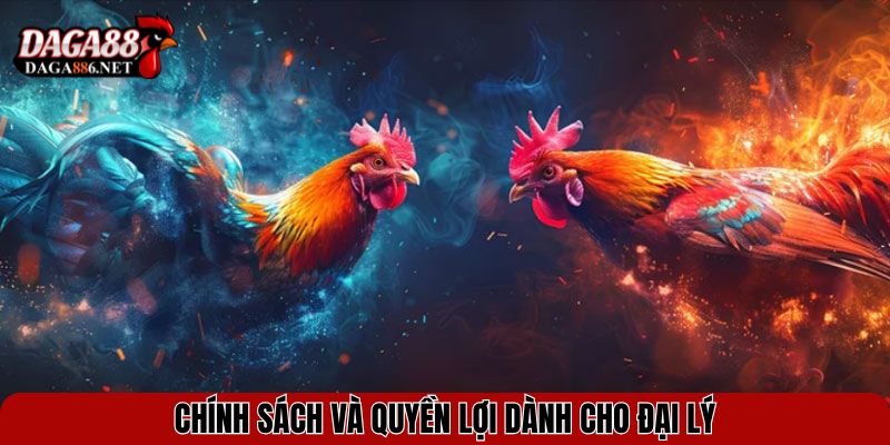Chính sách và quyền lợi dành cho đại lý