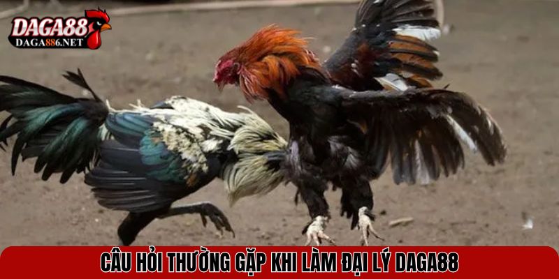 Câu hỏi thường gặp khi làm đại lý DAGA88