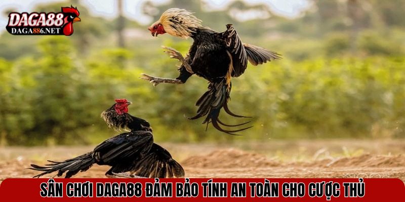 Sân chơi DAGA88 đảm bảo tính an toàn cho cược thủ