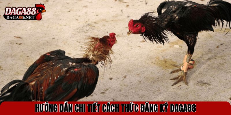 Hướng dẫn chi tiết cách thức đăng ký DAGA88