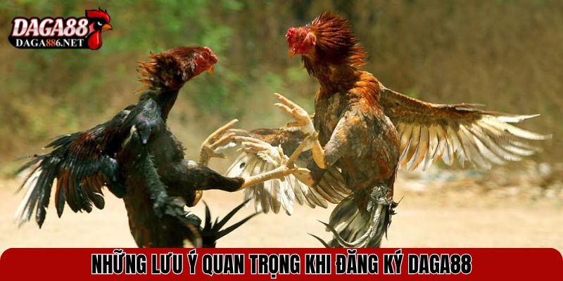 Những lưu ý quan trọng khi đăng ký DAGA88