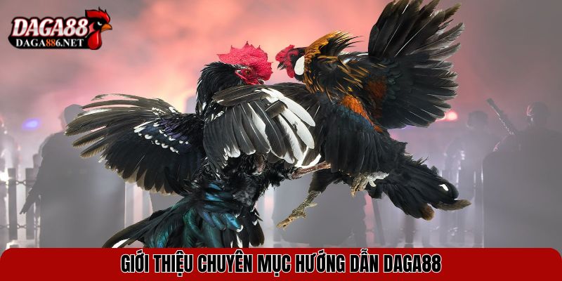 Hướng Dẫn DAGA88 Chi Tiết Và Mới Nhất Cho Tân Thủ 1 Giới thiệu chuyên mục hướng dẫn DAGA88