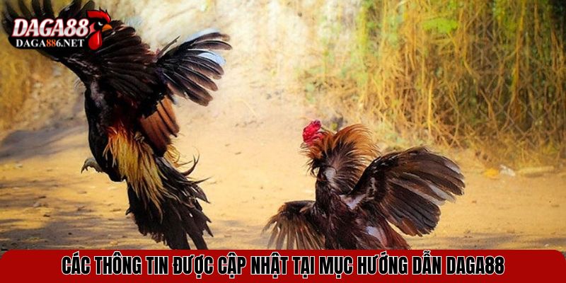 Hướng Dẫn DAGA88 Chi Tiết Và Mới Nhất Cho Tân Thủ 3 Các thông tin được cập nhật tại mục hướng dẫn DAGA88