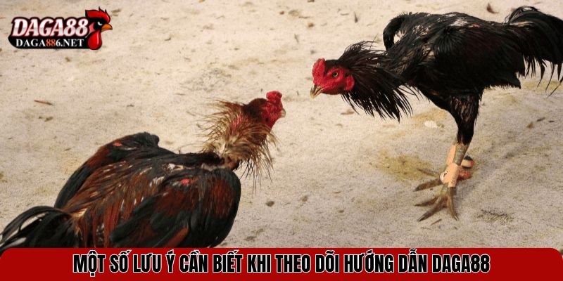 Hướng Dẫn DAGA88 Chi Tiết Và Mới Nhất Cho Tân Thủ 4 Một số lưu ý cần biết khi theo dõi hướng dẫn DAGA88