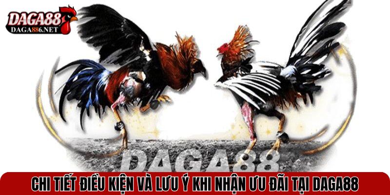 Chi tiết điều kiện và lưu ý khi nhận ưu đãi tại DAGA88
