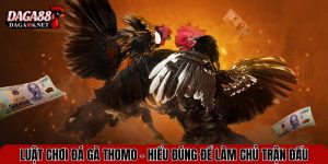 luat choi da ga thomo
