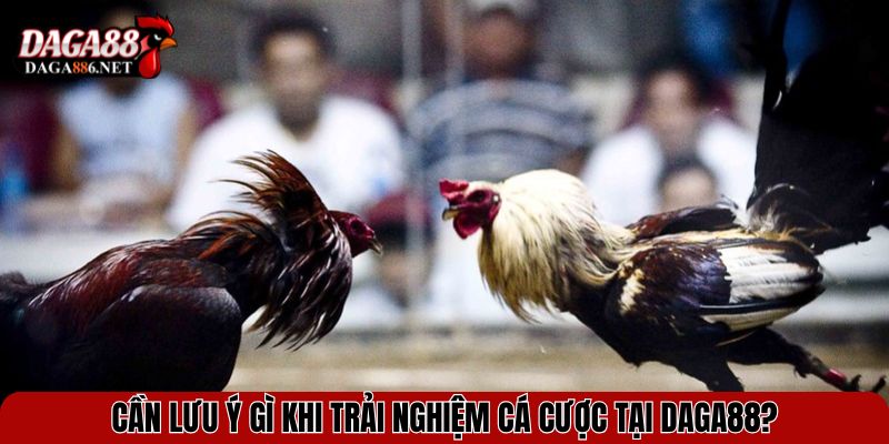 Cần lưu ý gì khi trải nghiệm cá cược tại DAGA88?