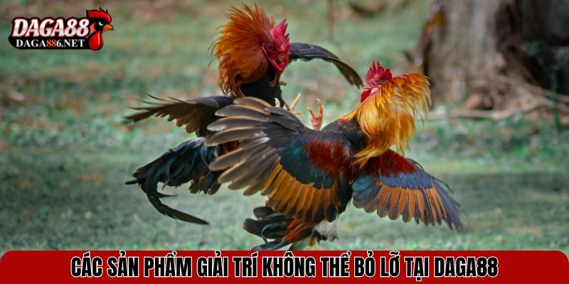 Các sản phẩm giải trí không thể bỏ lỡ tại DAGA88