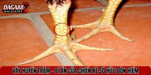 vay huyen tram